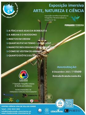 cartaz