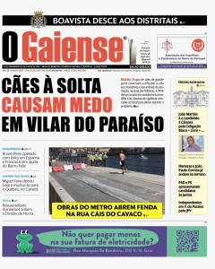 Capa 1213